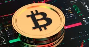 Investing in Cryptocurrency: Risks and Rewards